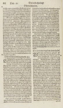 Bild der Seite - 88 - in Artzney Buch