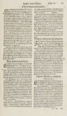 Bild der Seite - 91 - in Artzney Buch