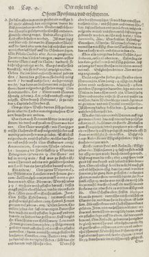 Image of the Page - 92 - in Artzney Buch