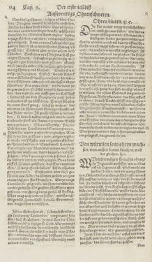 Bild der Seite - 94 - in Artzney Buch