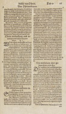 Image of the Page - 95 - in Artzney Buch