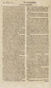 Image of the Page - 96 - in Artzney Buch