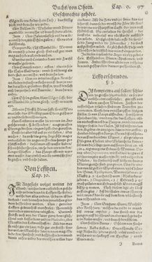 Image of the Page - 97 - in Artzney Buch