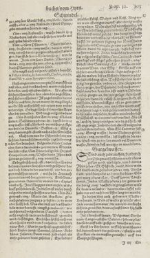 Image of the Page - 103 - in Artzney Buch