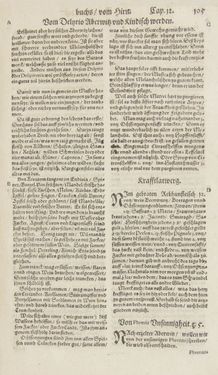 Image of the Page - 105 - in Artzney Buch