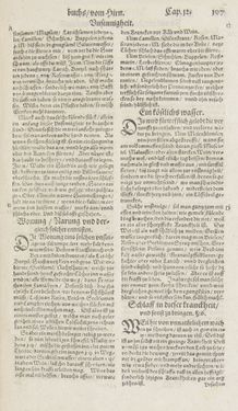 Bild der Seite - 107 - in Artzney Buch