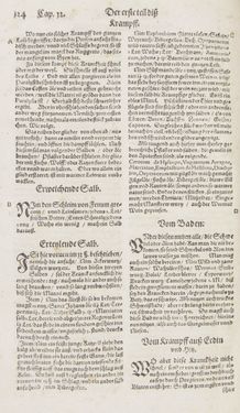Image of the Page - 124 - in Artzney Buch