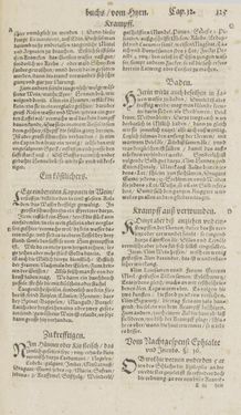 Image of the Page - 125 - in Artzney Buch