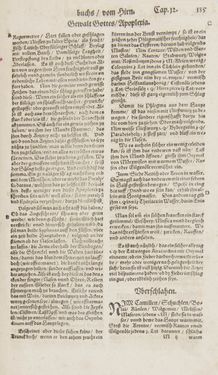 Image of the Page - 135 - in Artzney Buch