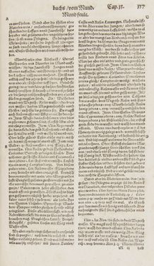Image of the Page - 137 - in Artzney Buch