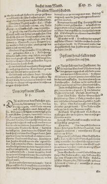 Image of the Page - 141 - in Artzney Buch
