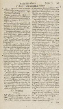 Image of the Page - 145 - in Artzney Buch