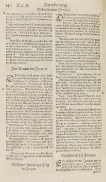 Bild der Seite - 146 - in Artzney Buch