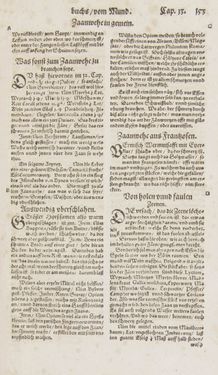 Image of the Page - 153 - in Artzney Buch