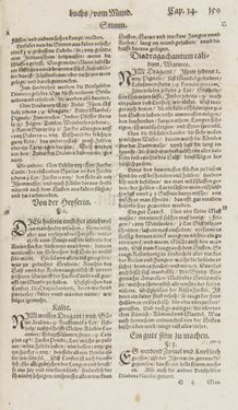 Image of the Page - 159 - in Artzney Buch
