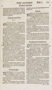 Image of the Page - 173 - in Artzney Buch