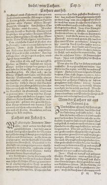 Bild der Seite - 175 - in Artzney Buch