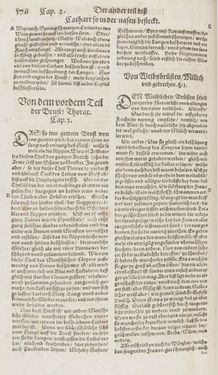 Bild der Seite - 176 - in Artzney Buch