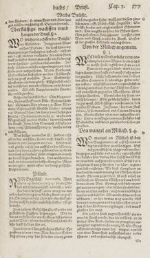 Bild der Seite - 177 - in Artzney Buch