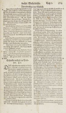 Bild der Seite - 179 - in Artzney Buch