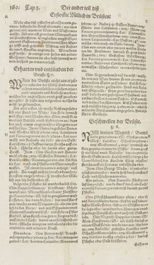 Bild der Seite - 180 - in Artzney Buch