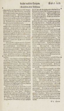 Image of the Page - 207 - in Artzney Buch