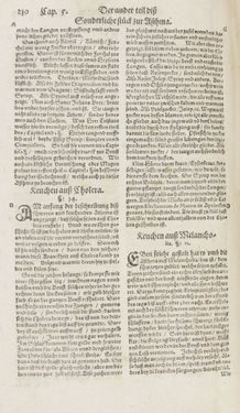 Image of the Page - 210 - in Artzney Buch