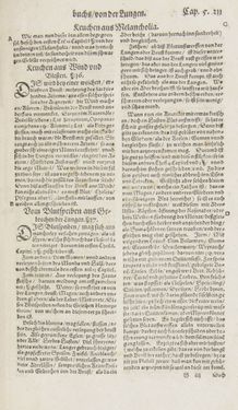 Image of the Page - 211 - in Artzney Buch