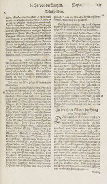 Image of the Page - 213 - in Artzney Buch