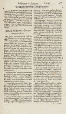 Image of the Page - 217 - in Artzney Buch
