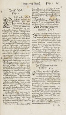 Image of the Page - 241 - in Artzney Buch