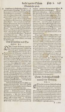 Image of the Page - 243 - in Artzney Buch