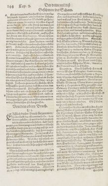 Image of the Page - 244 - in Artzney Buch
