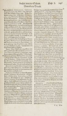 Image of the Page - 245 - in Artzney Buch