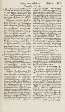 Image of the Page - 247 - in Artzney Buch