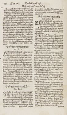 Bild der Seite - 262 - in Artzney Buch