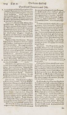 Image of the Page - 304 - in Artzney Buch