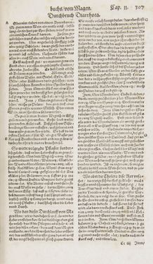 Image of the Page - 307 - in Artzney Buch