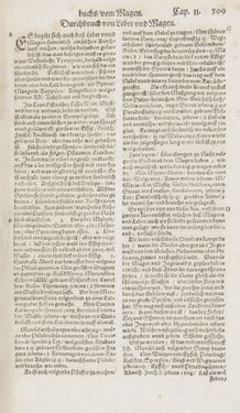 Image of the Page - 309 - in Artzney Buch