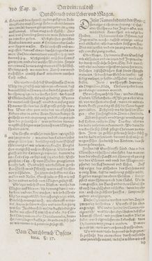 Image of the Page - 310 - in Artzney Buch
