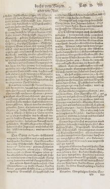 Image of the Page - 313 - in Artzney Buch