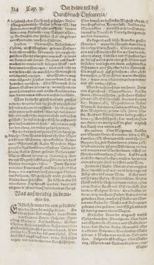 Image of the Page - 314 - in Artzney Buch