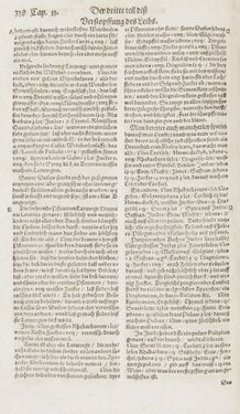 Image of the Page - 318 - in Artzney Buch