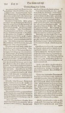 Bild der Seite - 320 - in Artzney Buch