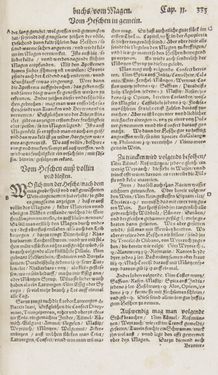 Image of the Page - 333 - in Artzney Buch