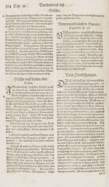 Image of the Page - 334 - in Artzney Buch