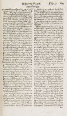 Image of the Page - 335 - in Artzney Buch