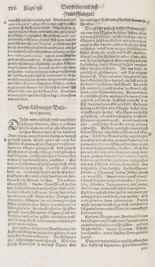 Bild der Seite - 336 - in Artzney Buch