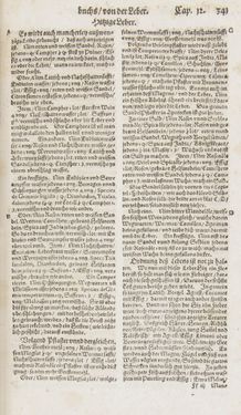 Image of the Page - 341 - in Artzney Buch