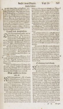 Image of the Page - 343 - in Artzney Buch